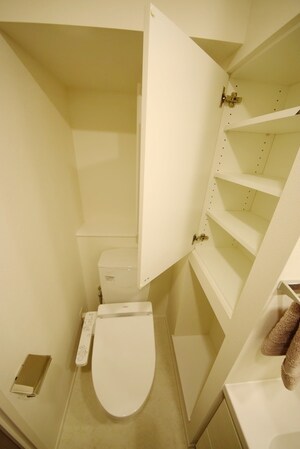 パークアクシス錦糸町ヴェールの物件内観写真